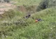 Un motociclist a ajuns în șanț, după ce a fost șicanat în trafic