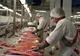 DSVSA Satu Mare: Nereguli constatate la o brutărie din Cămărzana și un magazin alimentar din Satu Mare