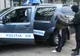 Căutat de autoritățile din Germania pentru furt, depistat în Vama Petea