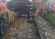 Tren de lux pe ruta Timişoara – Satu Mare – Baia Mare
