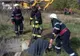 Cal salvat dintr-o fosă septică, în Sanislău