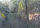Treisprezece incendii de vegetaţie uscată, într-o săptămână