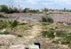 Investiție de 1,7 milioane de euro în Lacul Cubic