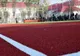 Guvernul Ungariei a investit aproape 100.000 de euro în amenajarea unui teren de sport la o școală din Satu Mare