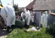 Veterinari sătmăreni sancționați pentru sfidarea autorităților
