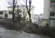 A început acțiunea de toaletare a copacilor din municipiul Satu Mare