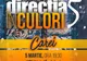Concert ”În culori” susținut de Direcția 5 la Teatrul Municipal Carei