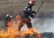 Incendiu de vegetație în municipiul Satu Mare