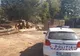 Polițiștii au confiscat peste 240 mc de material lemnos și au aplicat amenzi de peste 6.000 lei