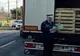 TIR cu sute de porci oprit de polițiști