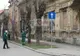 Primăria toaletează arborii de pe strada Tudor Vladimirescu. Circulaţia, restricţionată