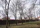 Tunel de flori și patinoar mobil în parcul din Carei
