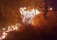 Incendii de vegetație uscată în județ. Au intervenit pompierii
