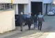 Țigări de contrabandă confiscate de polițiștii negreșteni