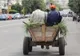 Cinci căruțași au fost amendați de Poliția Locală