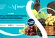 Festivalul vinului, la Satu Mare: concerte și vin bun