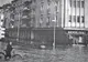 Victimele inundațiilor din 14 mai 1970 vor fi comemorate mâine la Satu Mare