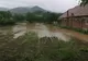 Zece gospodării și 15 hectare de culturi agricole din Cămărzana, inundate