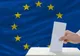 Secțiile s-au închis. Prezență de 41,63% la alegerile europarlamentare și 36,81 %, prezență la referendum, la Satu Mare