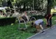 Tinerii care au vandalizat băncile și coșurile de gunoi au reparat azi pagubele produse
