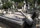 Minorii care au profanat peste 50 de morminte din Satu Mare, trimiși în judecată