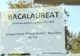 Peste 50 de candidați au absentat la prima probă scrisă a Bacalaureatului de toamnă