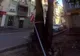 La presiunea mai multor sătmăreni, Primăria a decis să nu mai taie un copac din centrul orașului