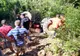 Bărbat strivit sub un tractor, în pădurea din Racșa