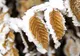 Alertă meteo! Un val de aer polar lovește România