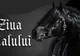 ”Ziua Calului”, în weekend, la Ardud. Un ponei, marele premiu al tombolei
