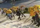 Importanța colectării în vederea reciclării deșeurilor vegetale, promovată de copii