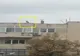 Maidanez speriat urcat pe bloc la Tăşnad, salvat de o femeie