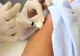Peste 2.000 de doze de vaccin antigripal pe stocul DSP Satu Mare