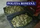 Aproape 40 de tone de pește indisponibilizate de polițiști