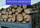 Hoţi de lemne, prinşi în flagrant. Autorii, un bărbat și un minor