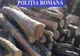 Material lemnos confiscat de polițiștii sătmăreni