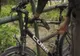 Un bărbat din Carei a furat o bicicletă de la un localnic din Foieni