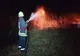 Incendiu de vegetație lângă Satu Mare. O fermă de pui, în pericol