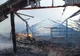 Incendiu puternic izbucnit la un saivan de oi din judeţ