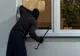 Tânăr din Satu Mare, reținut de polițiștii bihoreni, pentru furt calificat