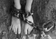 Tânăr tratat ca un sclav de un bărbat din Satu Mare! Procurorii DIICOT au obținut doar arestul la domiciliu