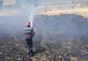 VIDEO | Incendiu la un depozit de rotobaloți din județul Satu Mare 