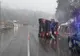 FOTO/VIDEO: TIR încărcat cu peste 600 de porci, răsturnat pe DN 17, în Piatra Fântânele! Șoferul e din Satu Mare și a ajuns la spital