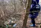 Peste 70 de controale, efectuate, luna trecută, de comisarii Gărzii de Mediu Satu Mare! Au fost aplicate și câteva zeci de amenzi 