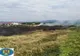 FOTO | Incendiu de vegetaţie la ieşire din Negrești-Oaș
