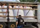 Amenzi de peste 154.000 lei, aplicate de comisarii Gărzii de Mediu Satu-Mare, pentru depozitare ilegală de deșeuri