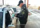 Fără permise valabile, trei bărbați au fost opriți de polițiștii de frontieră sătmăreni! S-au ales cu dosare penale