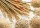Tânăr din Satu Mare prins după ce a furat 1700 de kilograme de cereale