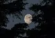 De ce LUNA urcă mult mai sus pe cer iarna decât vara