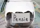 Șeful Casei de Pensii explică. Ce sume vor fi pe noile taloane de pensii și cum se dau ajutoarele